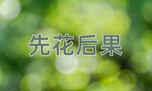 成语先花后果