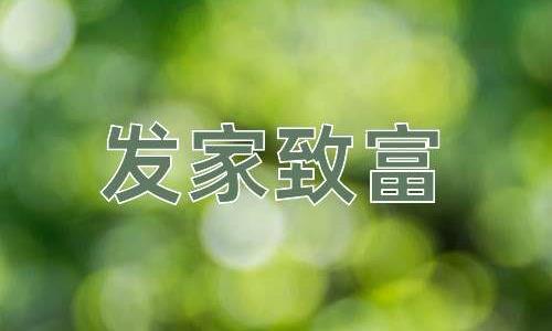 成语发家致富