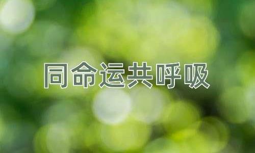 成语同命运共呼吸