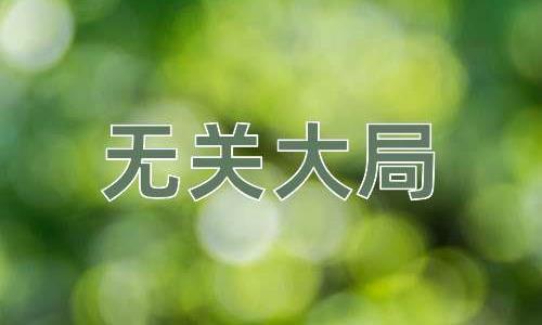 成语无关大局