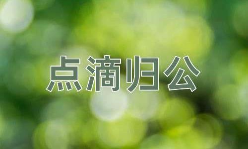 成语点滴归公