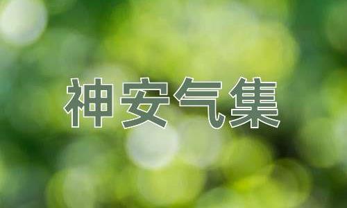 成语神安气集