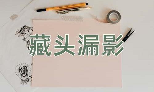 成语藏头漏影