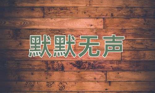 成语默默无声