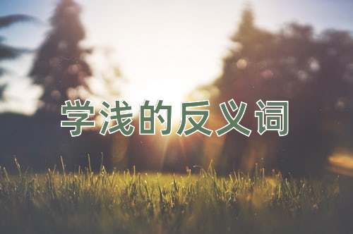 学浅的反义词