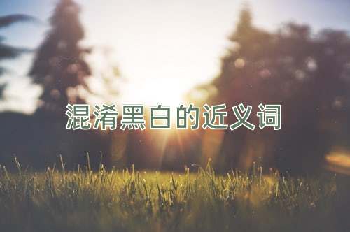 混淆黑白的近义词