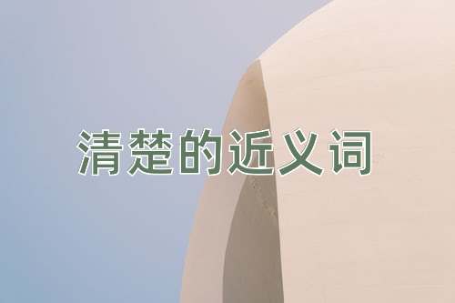 清楚的近义词